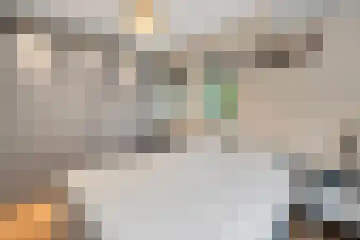 Zeven Bosjes 123 Almelo thumbnail 11