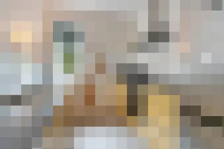 Zeven Bosjes 123 Almelo thumbnail 19
