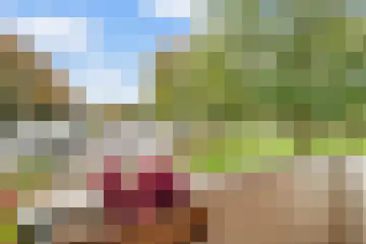 Zeven Bosjes 123 Almelo thumbnail 22