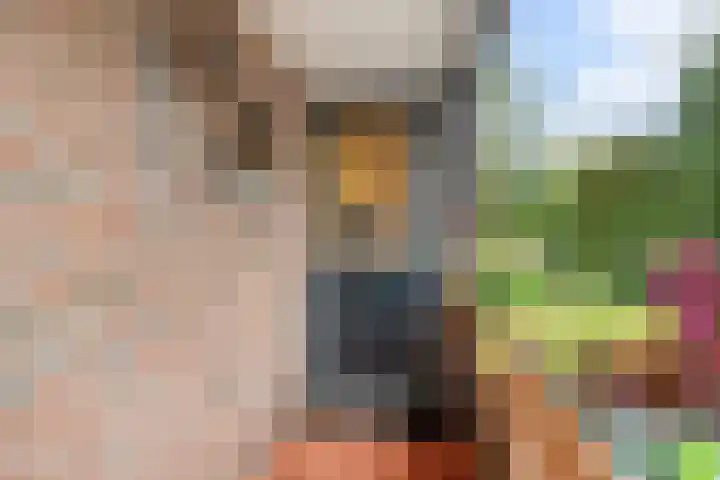 Zeven Bosjes 123 Almelo thumbnail 24