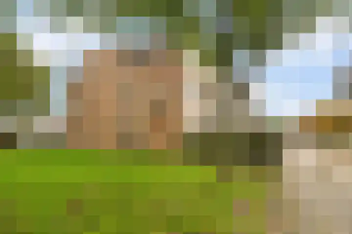 Zeven Bosjes 123 Almelo thumbnail 4