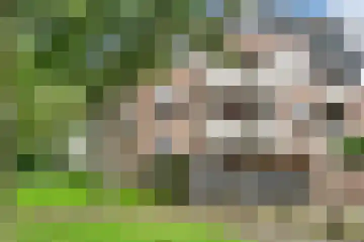 Zeven Bosjes 123 Almelo thumbnail 5