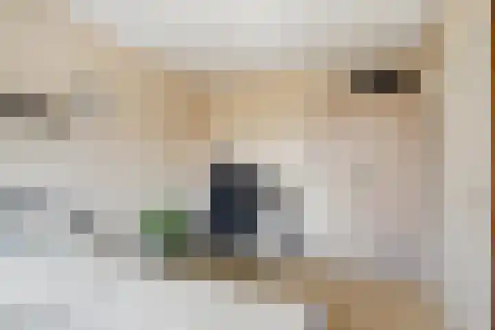 Zeven Bosjes 125 Almelo thumbnail 10