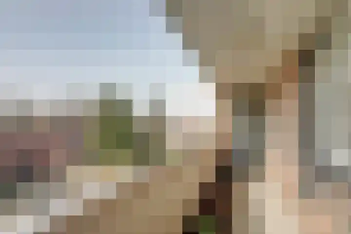 Zeven Bosjes 125 Almelo thumbnail 14