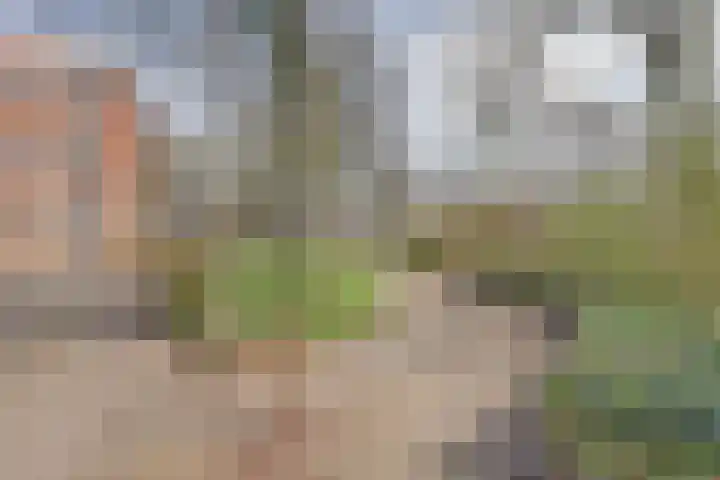 Zeven Bosjes 125 Almelo thumbnail 17