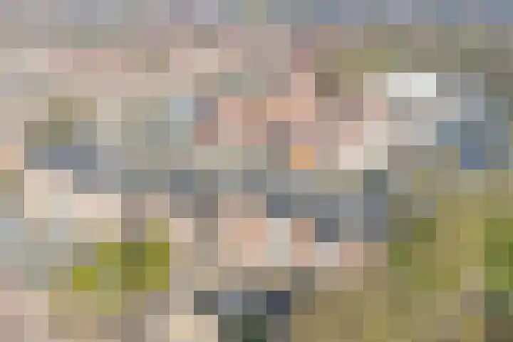 Zeven Bosjes 125 Almelo thumbnail 19