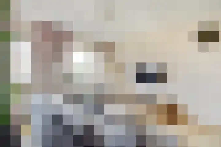 Zeven Bosjes 125 Almelo thumbnail 4