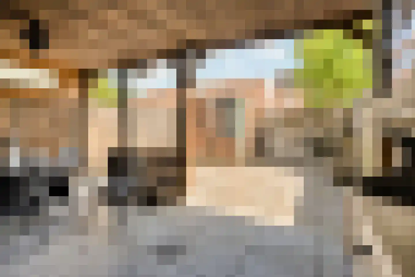 Zeven Bosjes 18 Almelo thumbnail 23