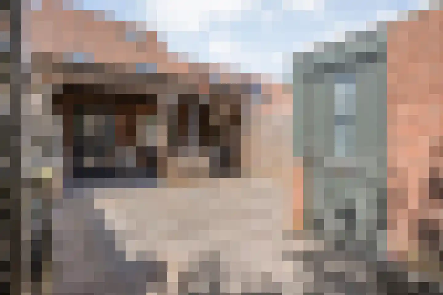 Zeven Bosjes 18 Almelo thumbnail 25