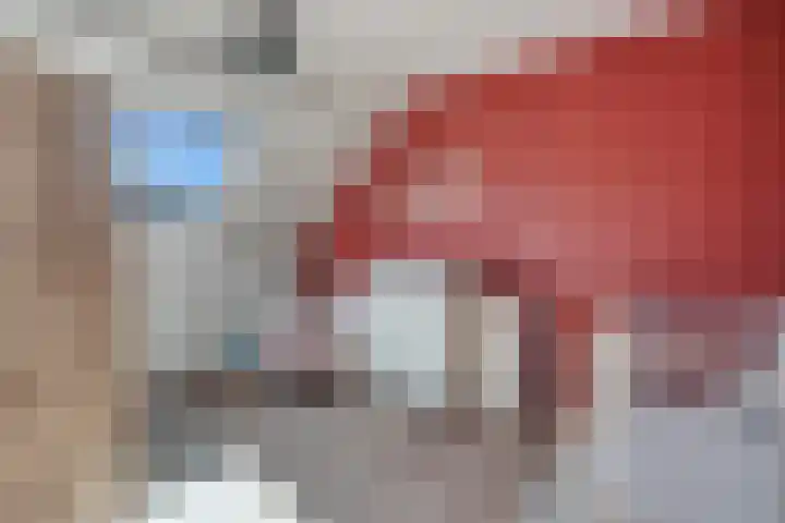Zeven Bosjes 20 Almelo thumbnail 13