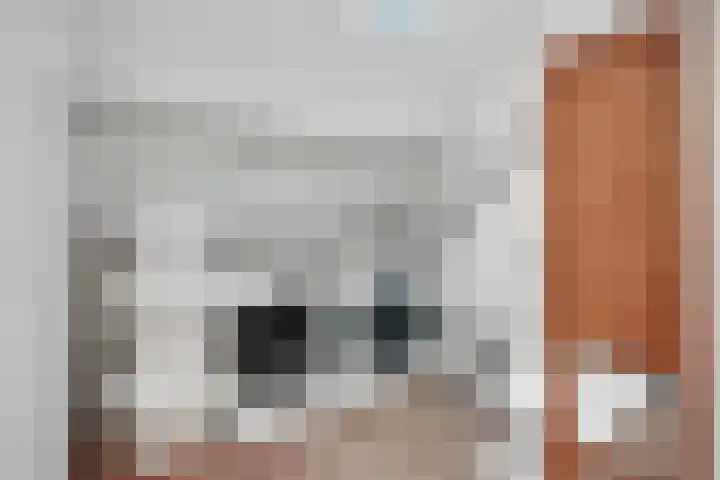 Zeven Bosjes 20 Almelo thumbnail 17