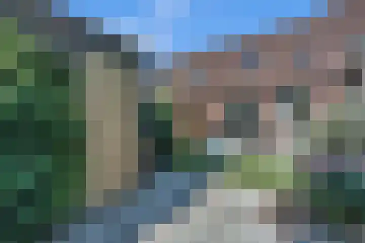 Zeven Bosjes 20 Almelo thumbnail 19