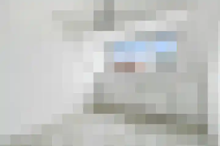 Zeven Bosjes 34 Almelo thumbnail 25