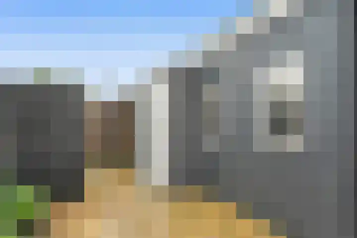 Zeven Bosjes 34 Almelo thumbnail 31