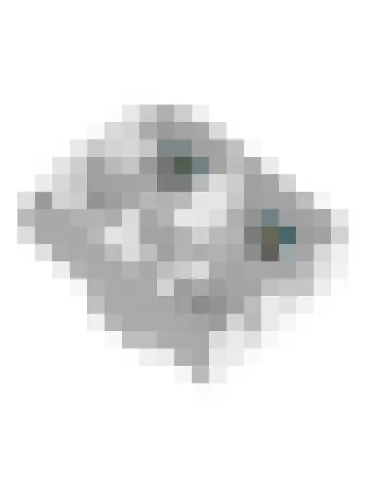 Zeven Bosjes 34 Almelo thumbnail 37