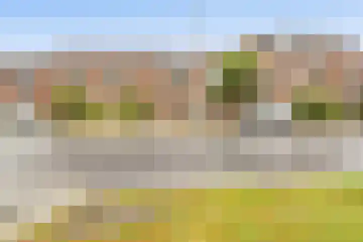 Zeven Bosjes 34 Almelo thumbnail 4