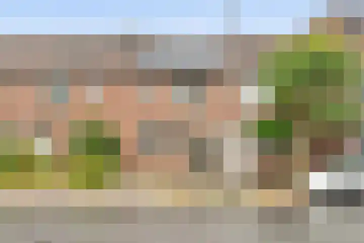 Zeven Bosjes 34 Almelo thumbnail 5