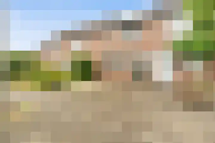 Zeven Bosjes 34 Almelo thumbnail 6