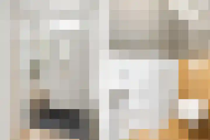 Zeven Bosjes 34 Almelo thumbnail 8