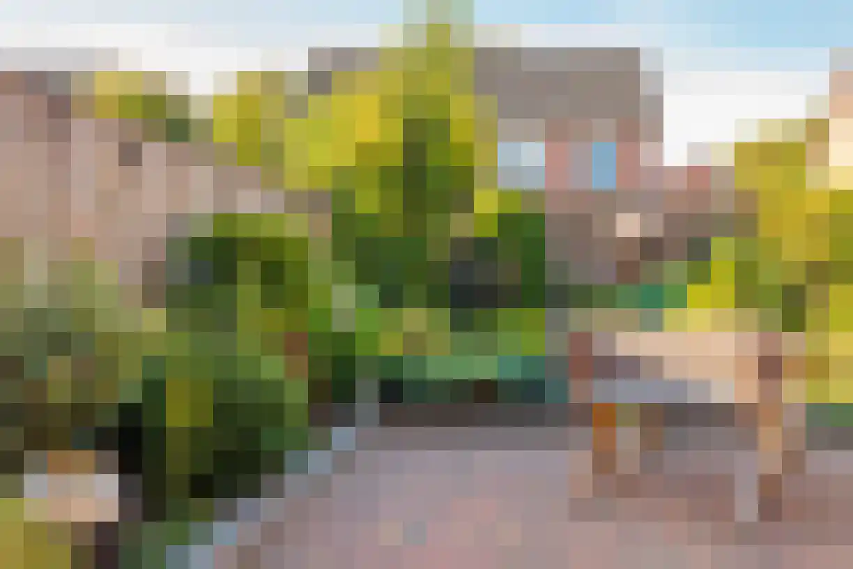 Zeven Bosjes 345 Almelo thumbnail 40