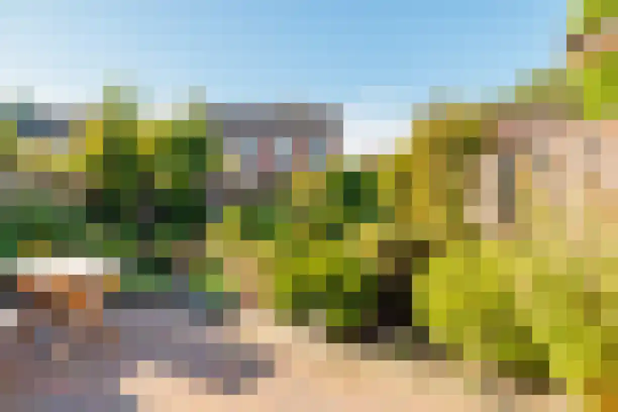 Zeven Bosjes 345 Almelo thumbnail 41