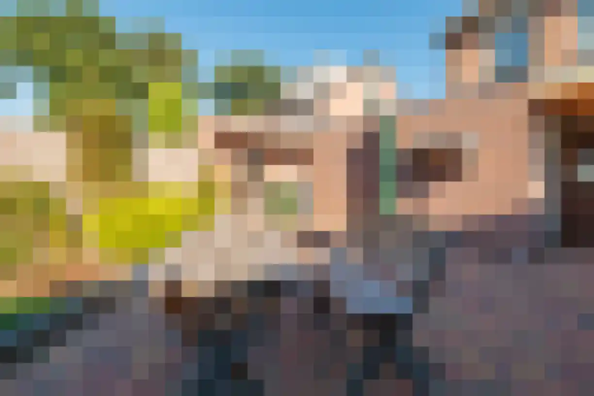 Zeven Bosjes 345 Almelo thumbnail 42
