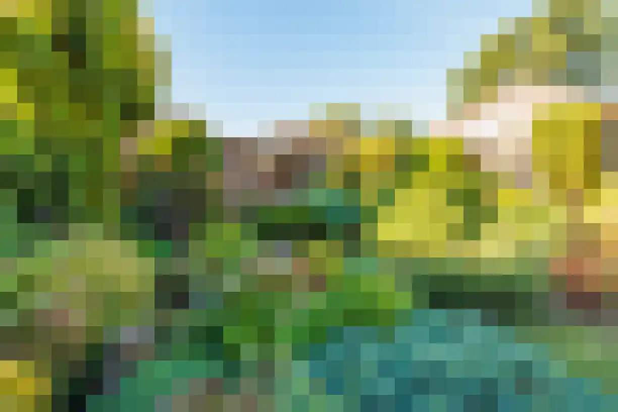 Zeven Bosjes 345 Almelo thumbnail 43