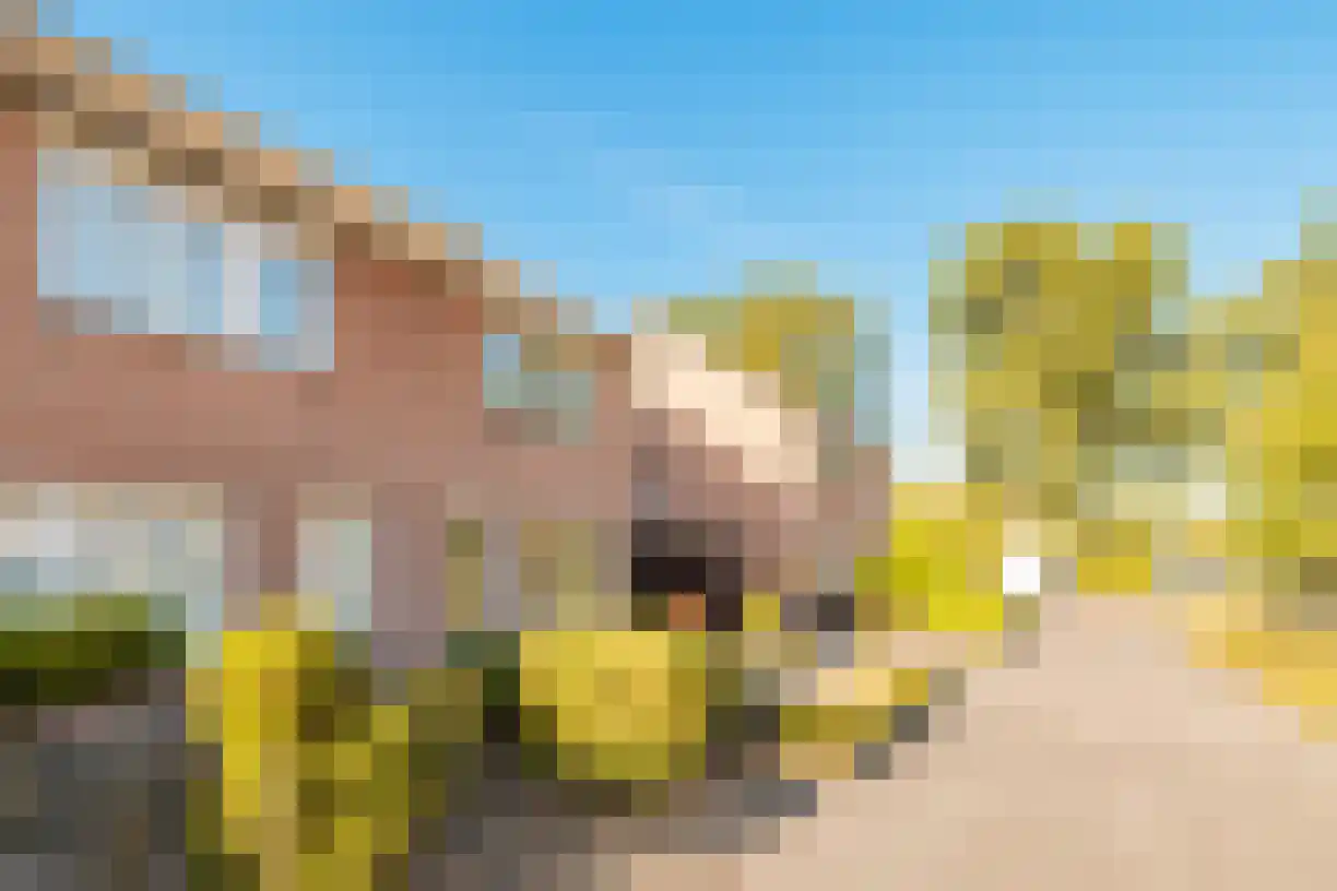 Zeven Bosjes 345 Almelo thumbnail 46
