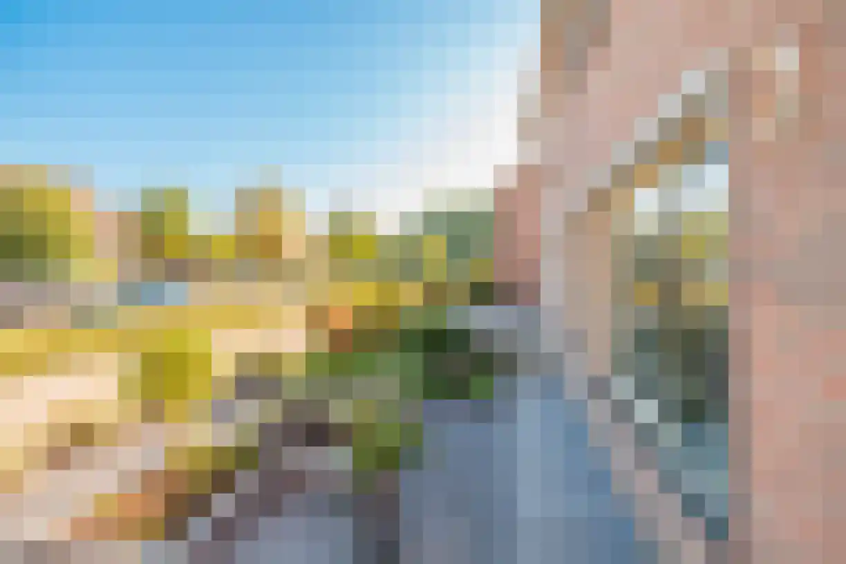 Zeven Bosjes 345 Almelo thumbnail 8