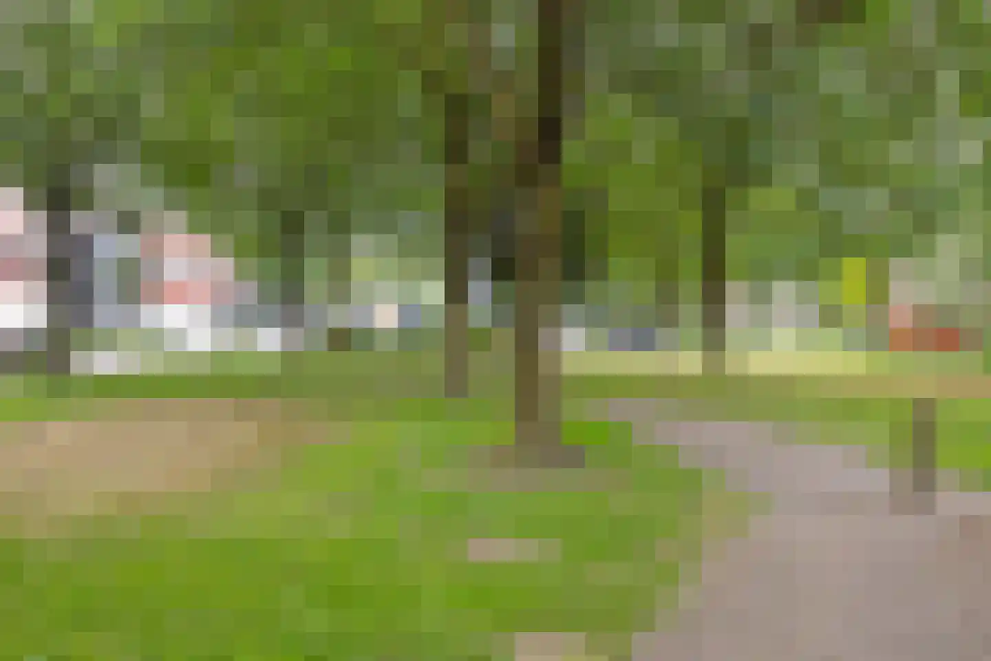 Zeven Bosjes 79 Almelo thumbnail 26