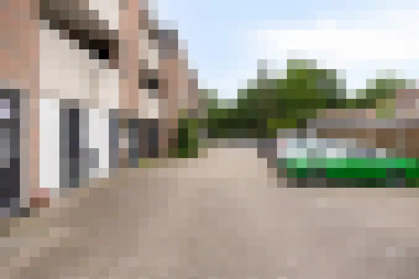 Zeven Bosjes 79 Almelo thumbnail 7