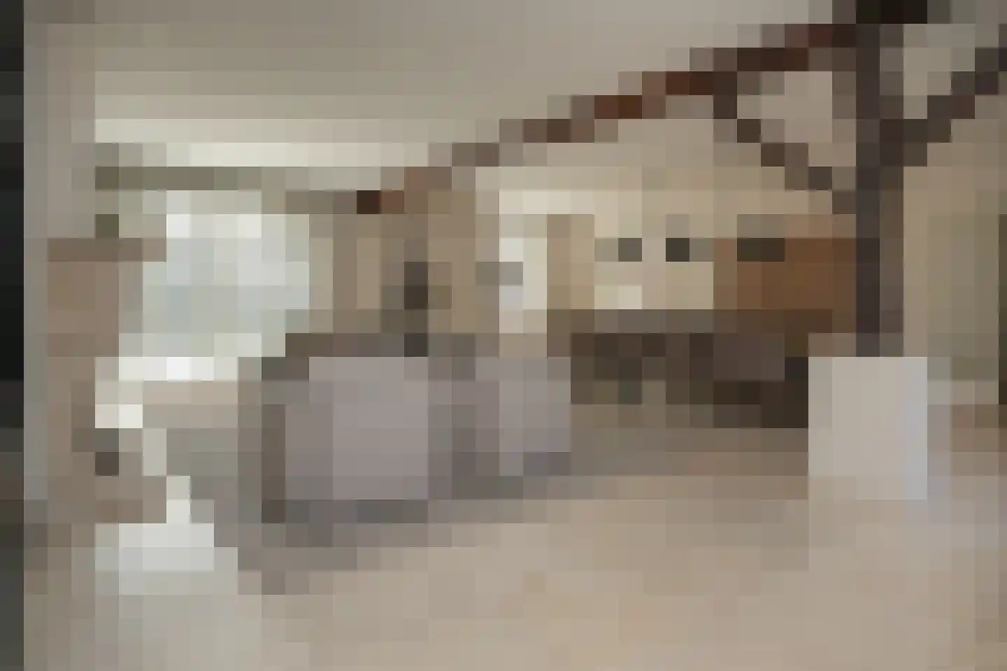 Zeven Eikenlaan 11 Veghel thumbnail 13