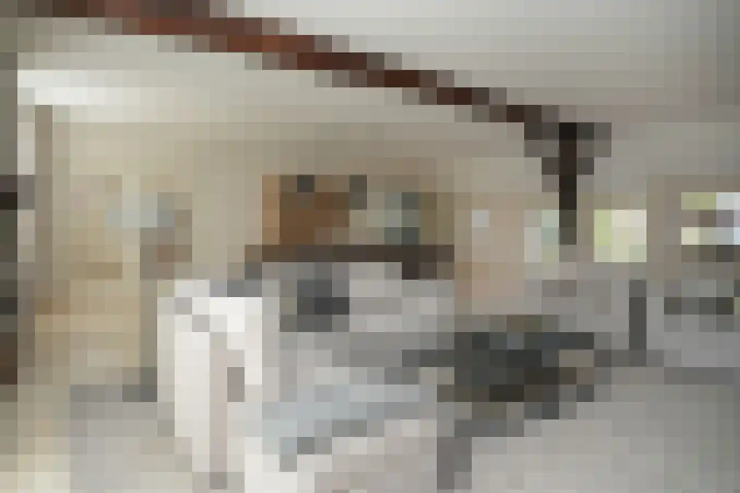 Zeven Eikenlaan 11 Veghel thumbnail 14