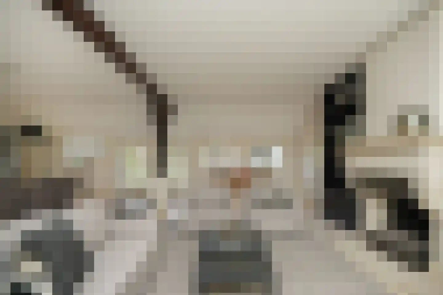Zeven Eikenlaan 11 Veghel thumbnail 16