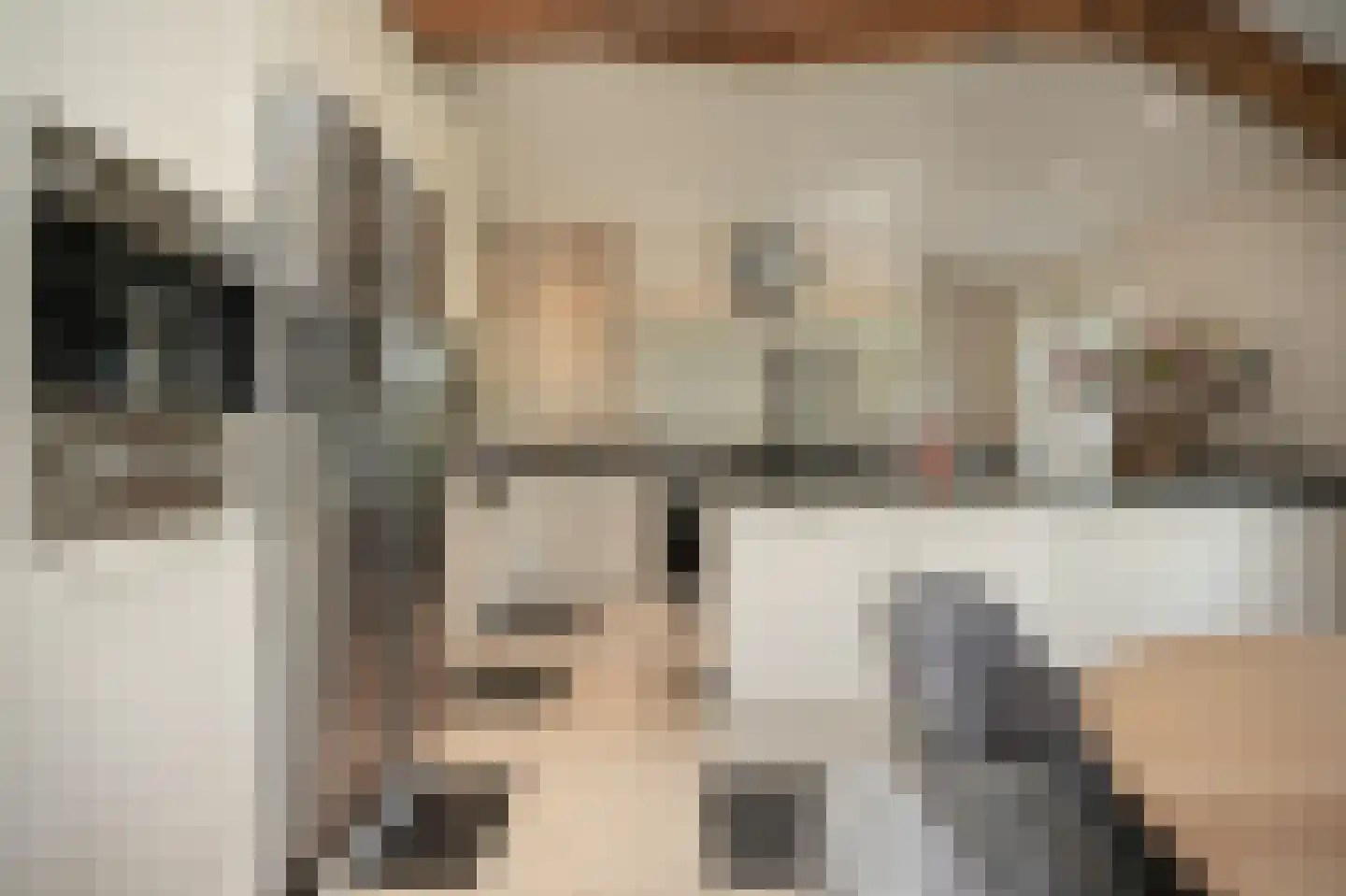 Zeven Eikenlaan 11 Veghel thumbnail 21