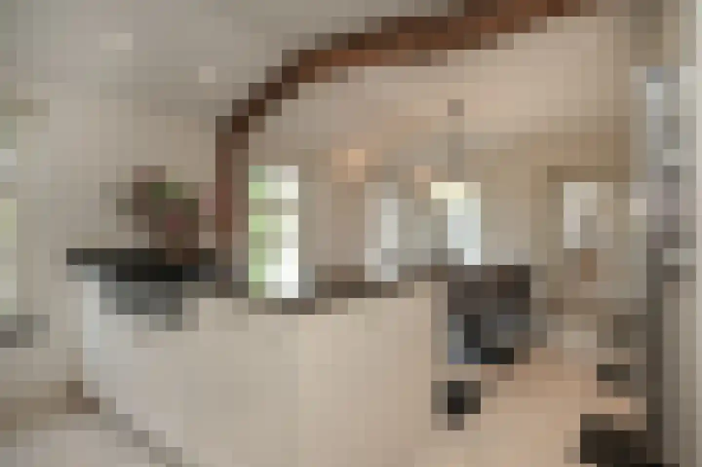Zeven Eikenlaan 11 Veghel thumbnail 24