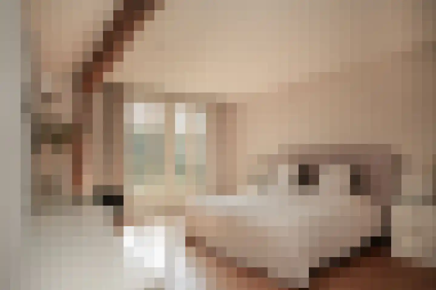 Zeven Eikenlaan 11 Veghel thumbnail 28