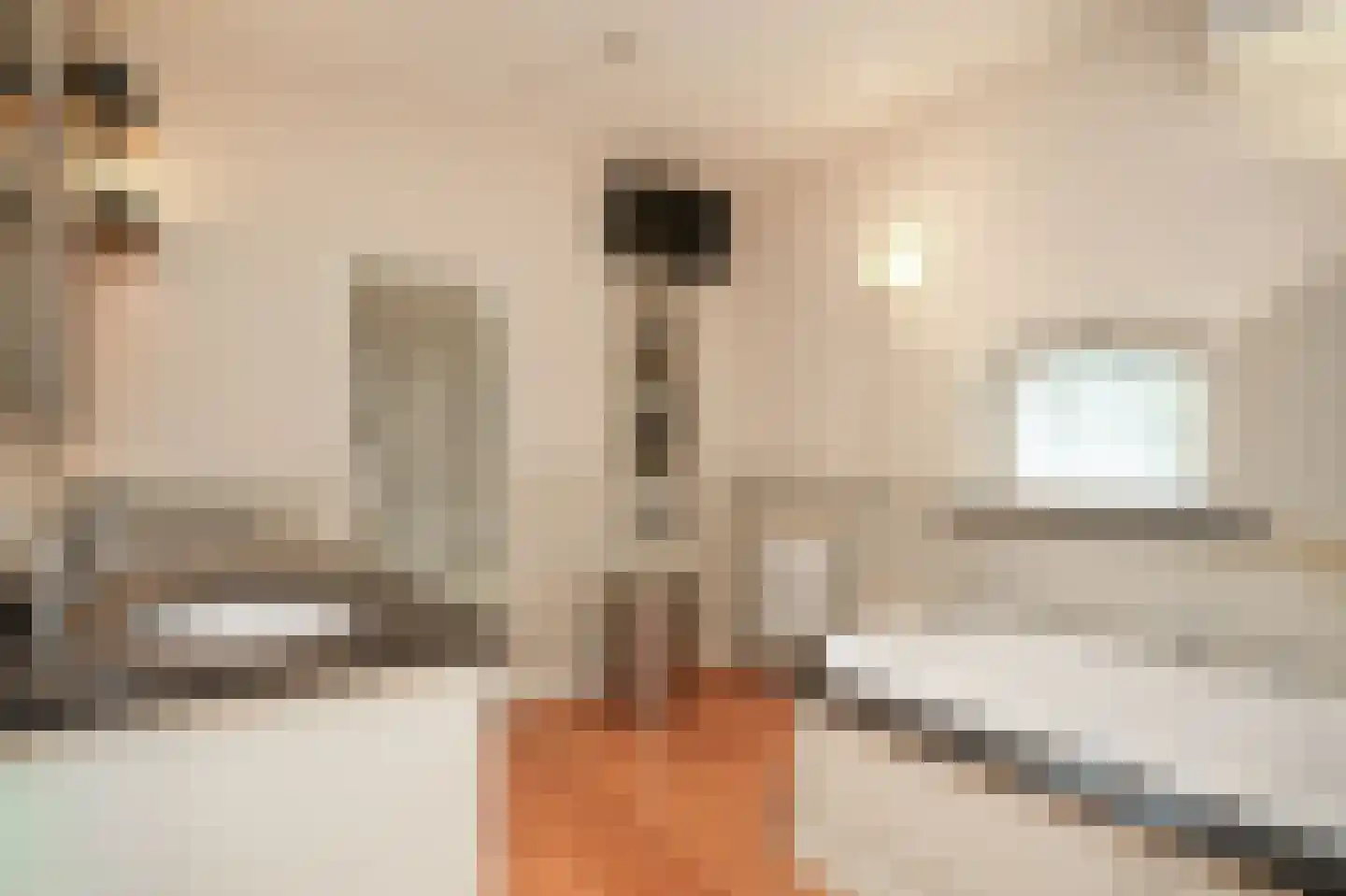 Zeven Eikenlaan 11 Veghel thumbnail 32