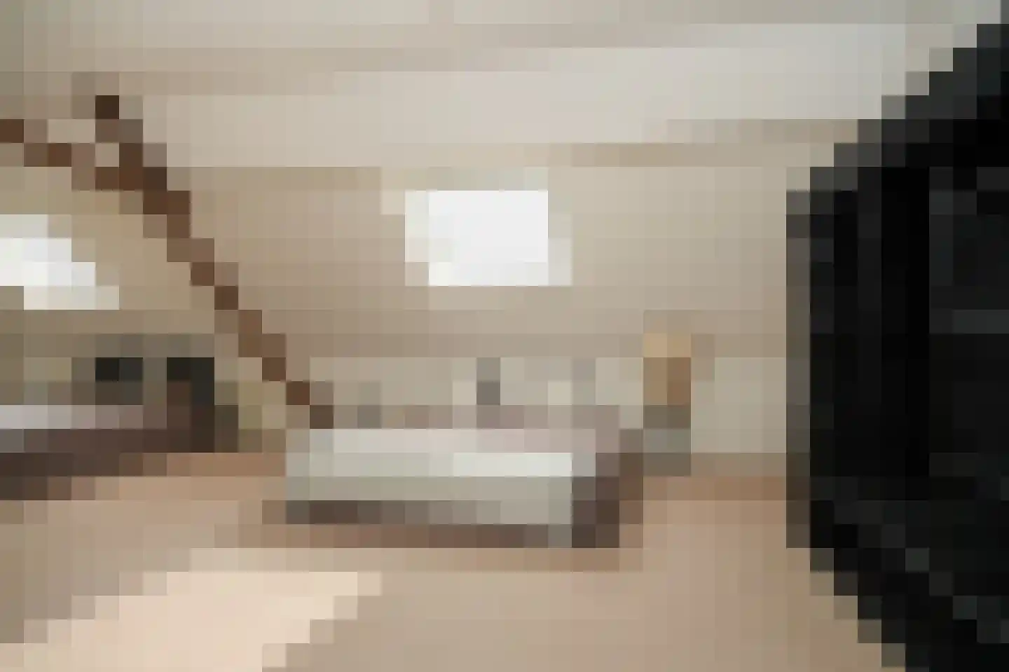 Zeven Eikenlaan 11 Veghel thumbnail 39