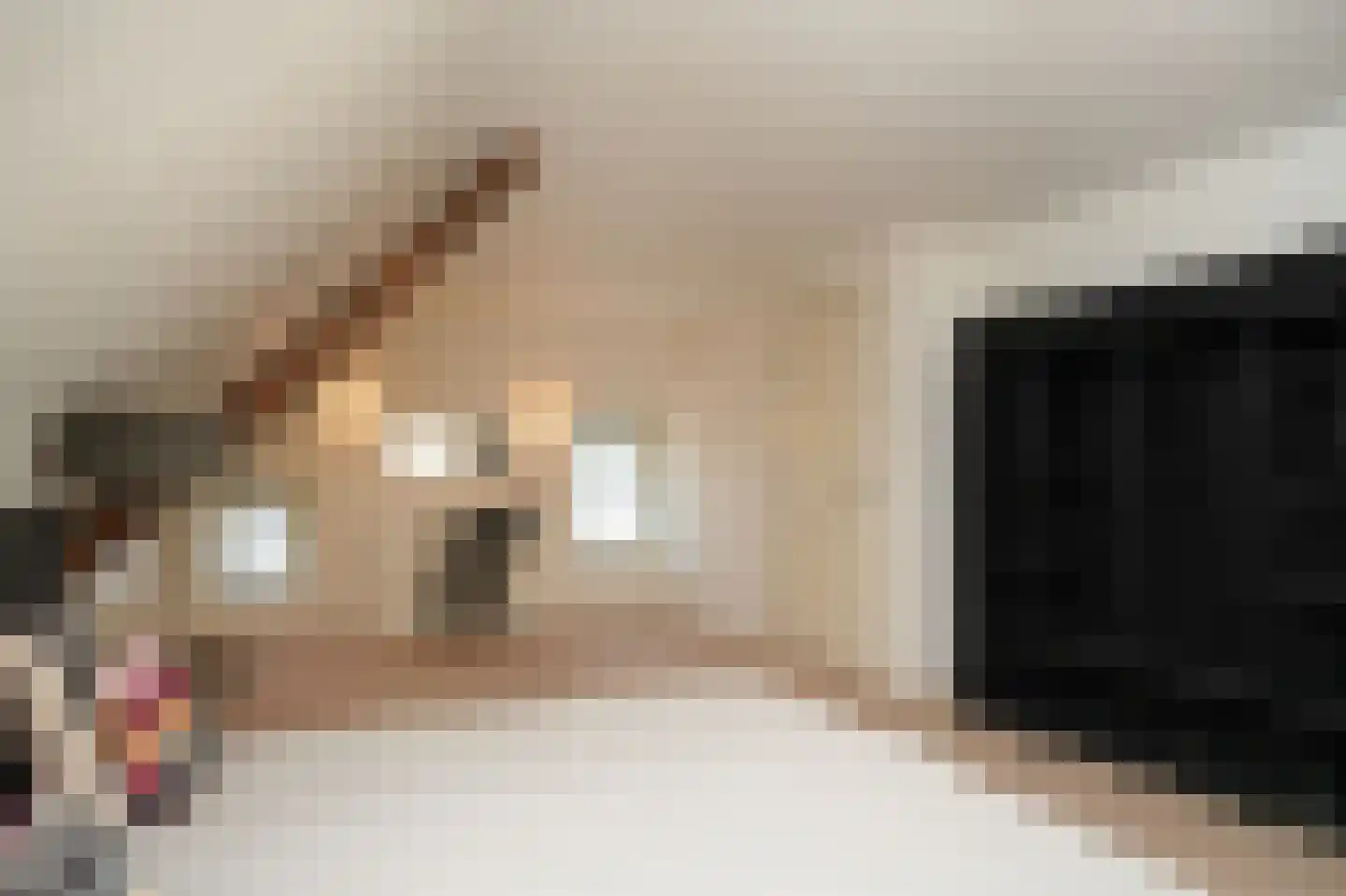 Zeven Eikenlaan 11 Veghel thumbnail 48