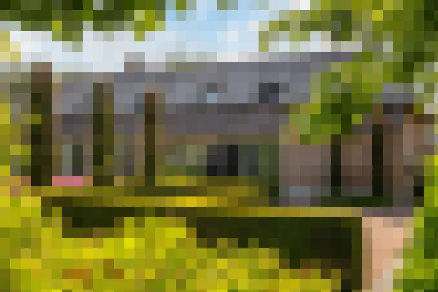 Zeven Eikenlaan 11 Veghel thumbnail 70