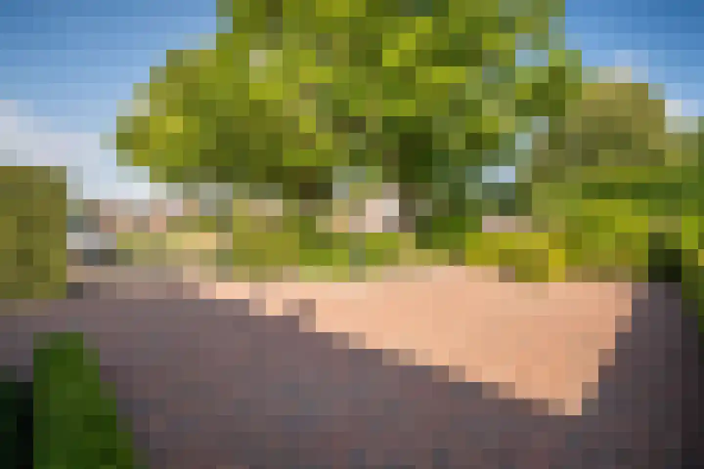 Zeven Eikenlaan 11 Veghel thumbnail 74