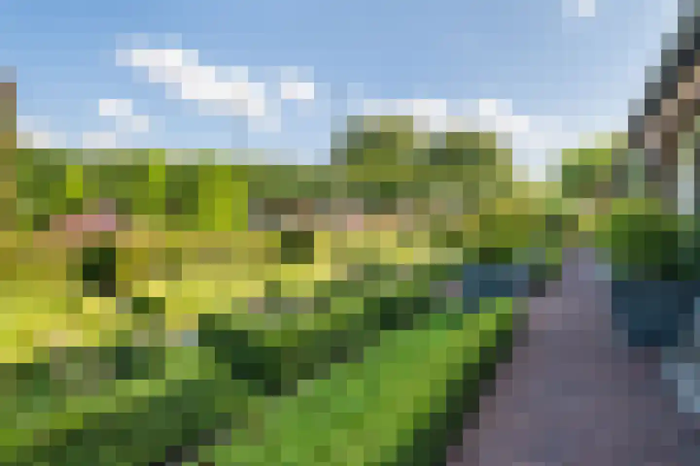 Zeven Eikenlaan 11 Veghel thumbnail 78