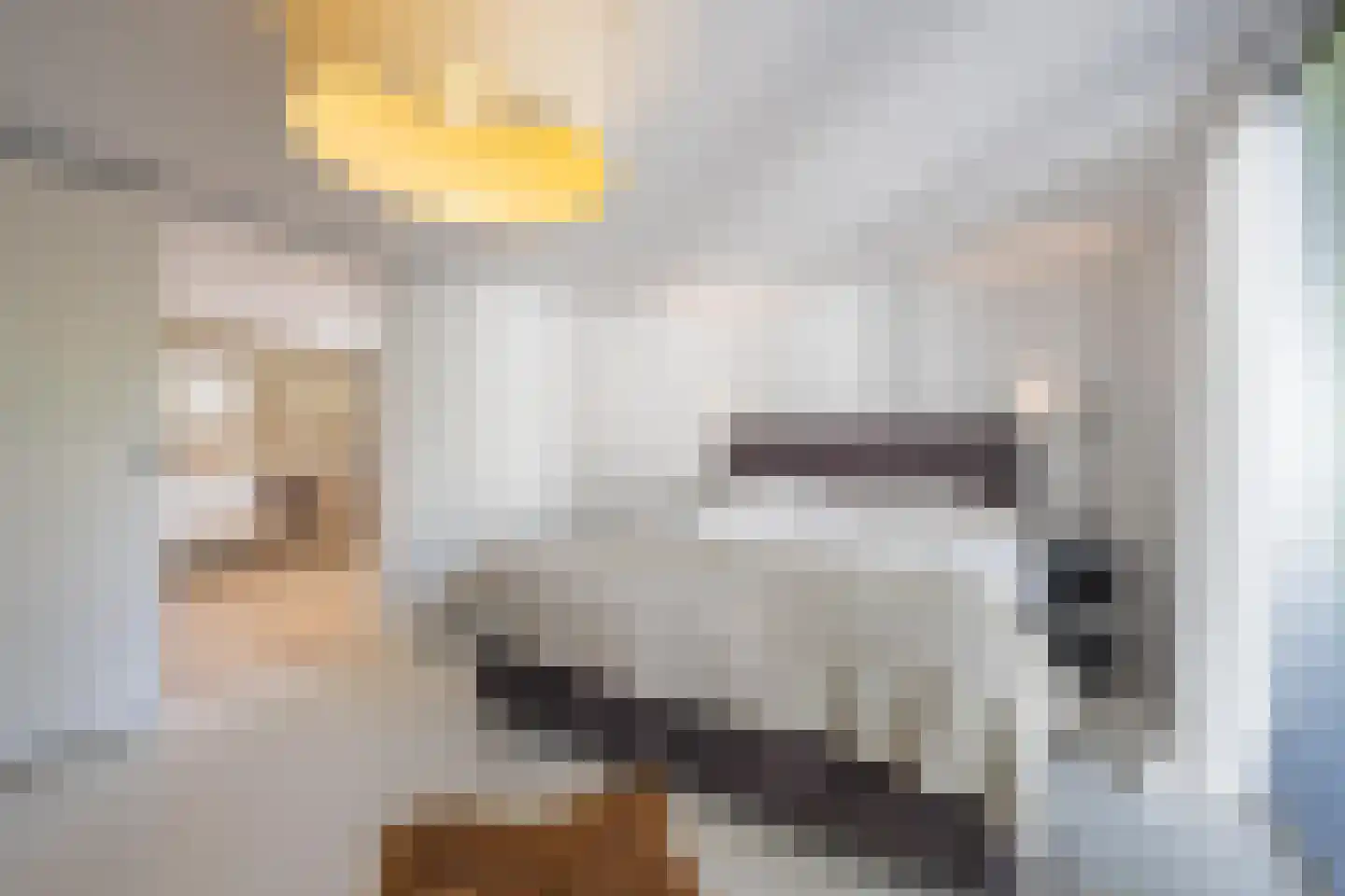 Zeven geversstraat 10 Druten thumbnail 17