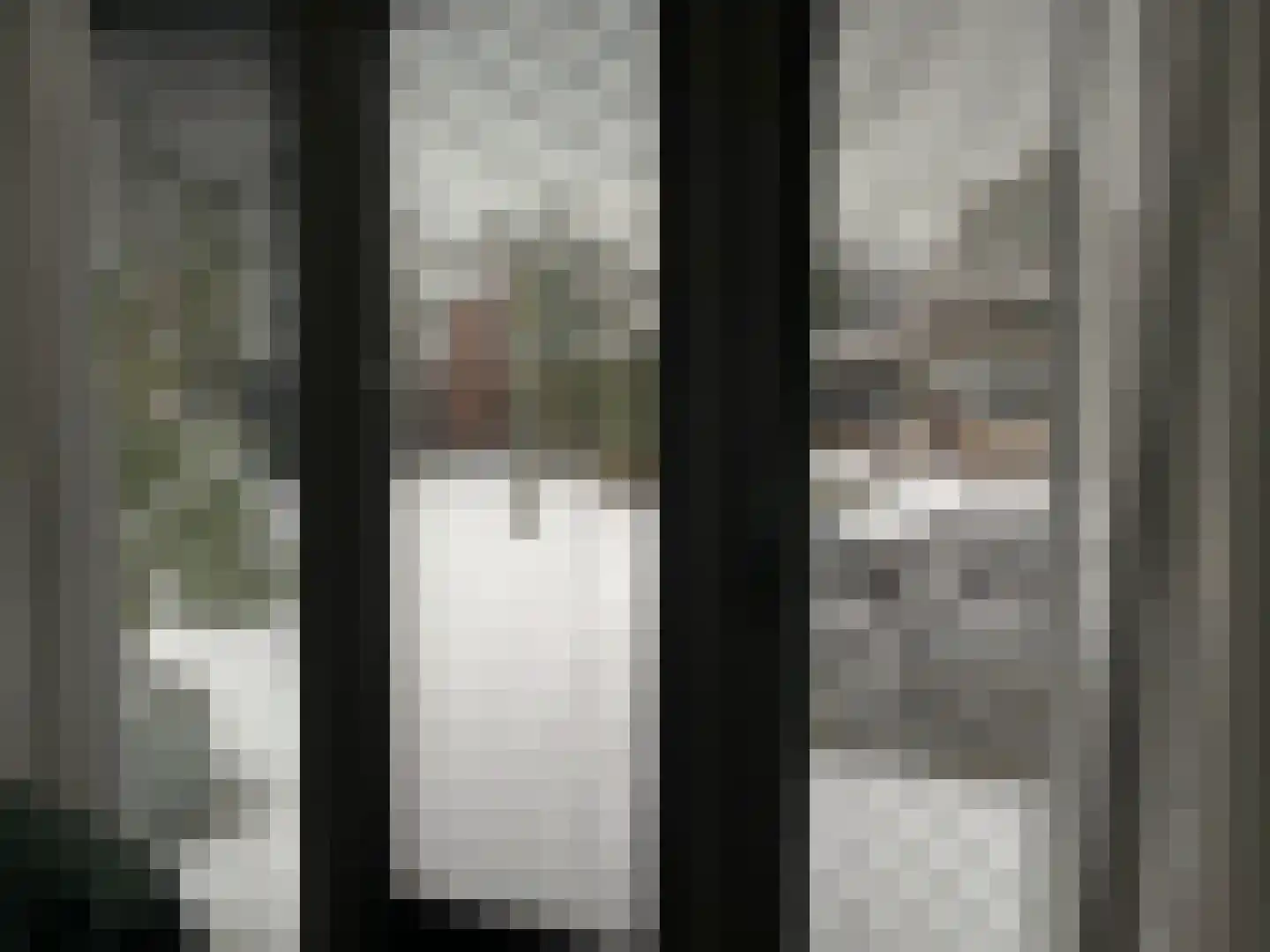 Zeven geversstraat 10 Druten thumbnail 21