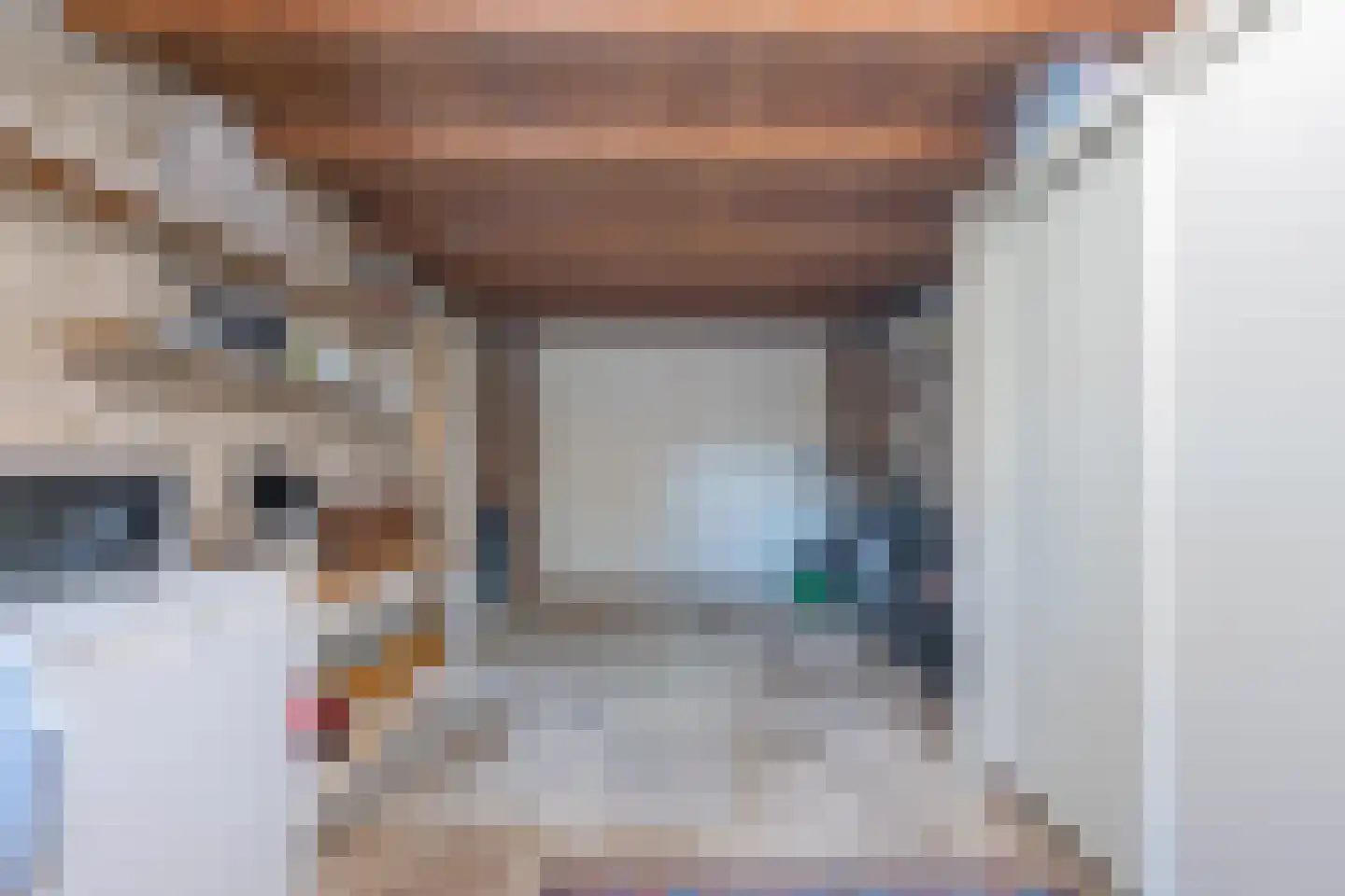 Zeven geversstraat 10 Druten thumbnail 27