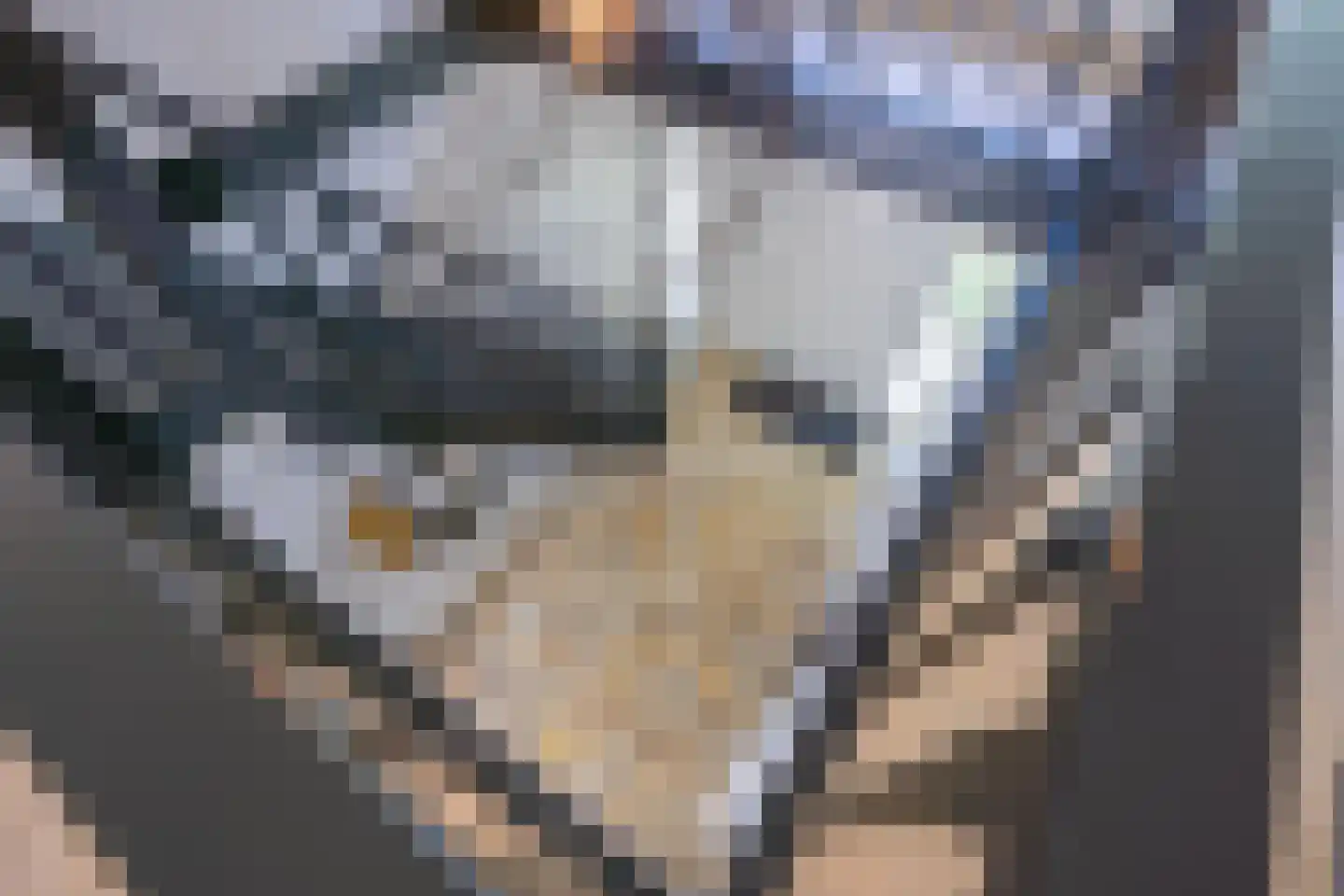 Zeven geversstraat 10 Druten thumbnail 30