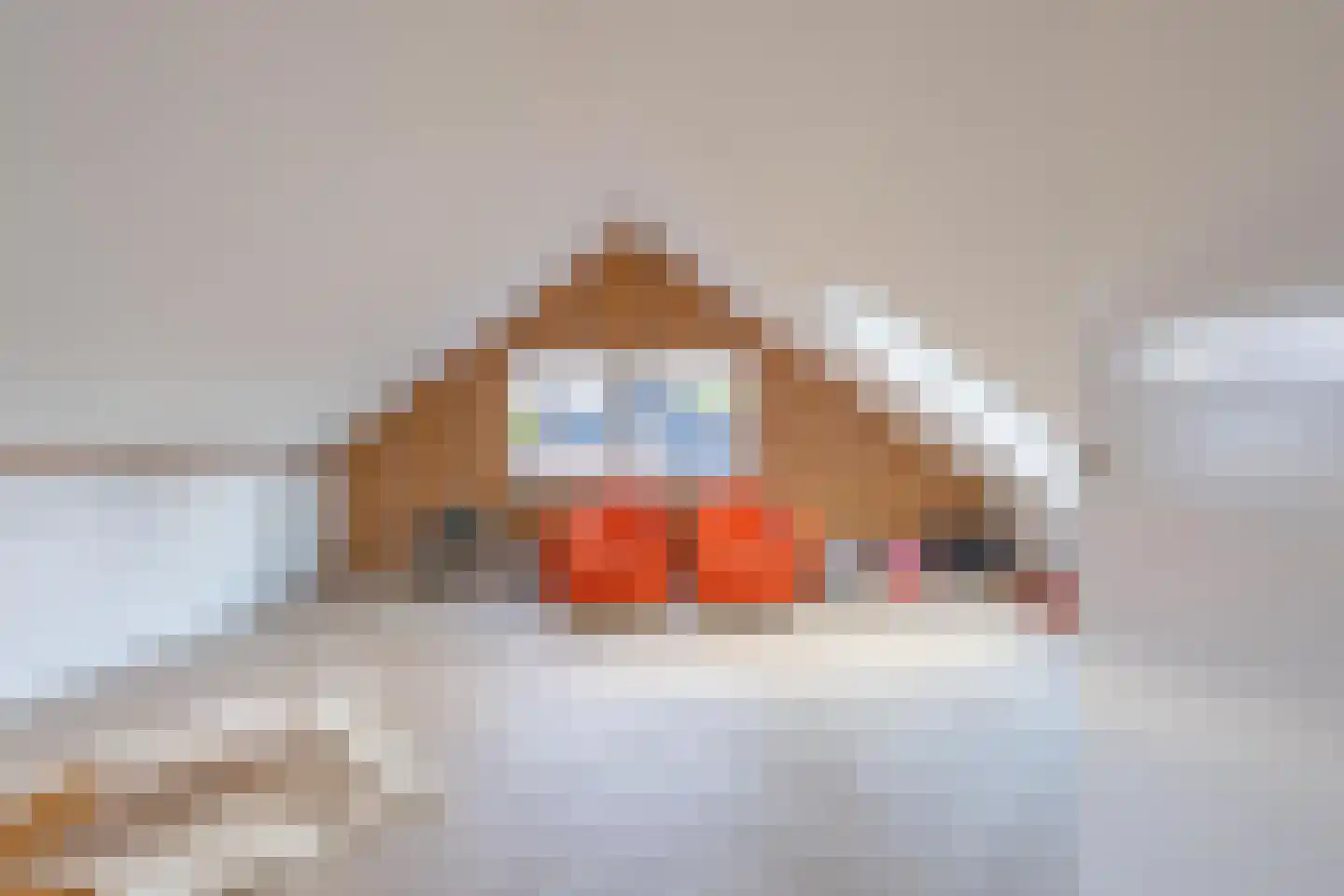 Zeven geversstraat 10 Druten thumbnail 31