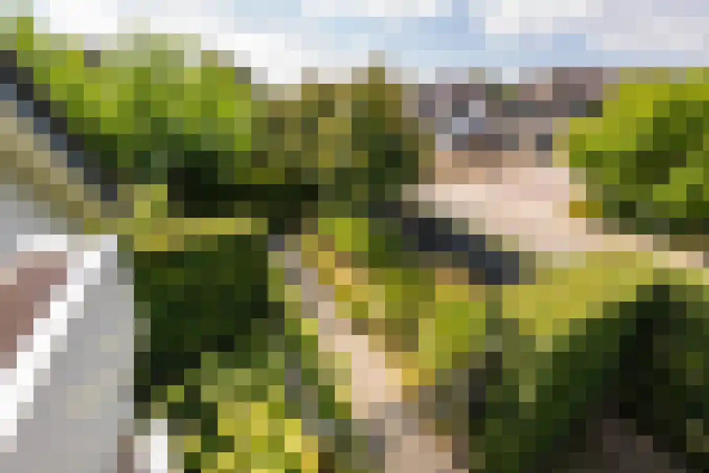 Zeven geversstraat 10 Druten thumbnail 36