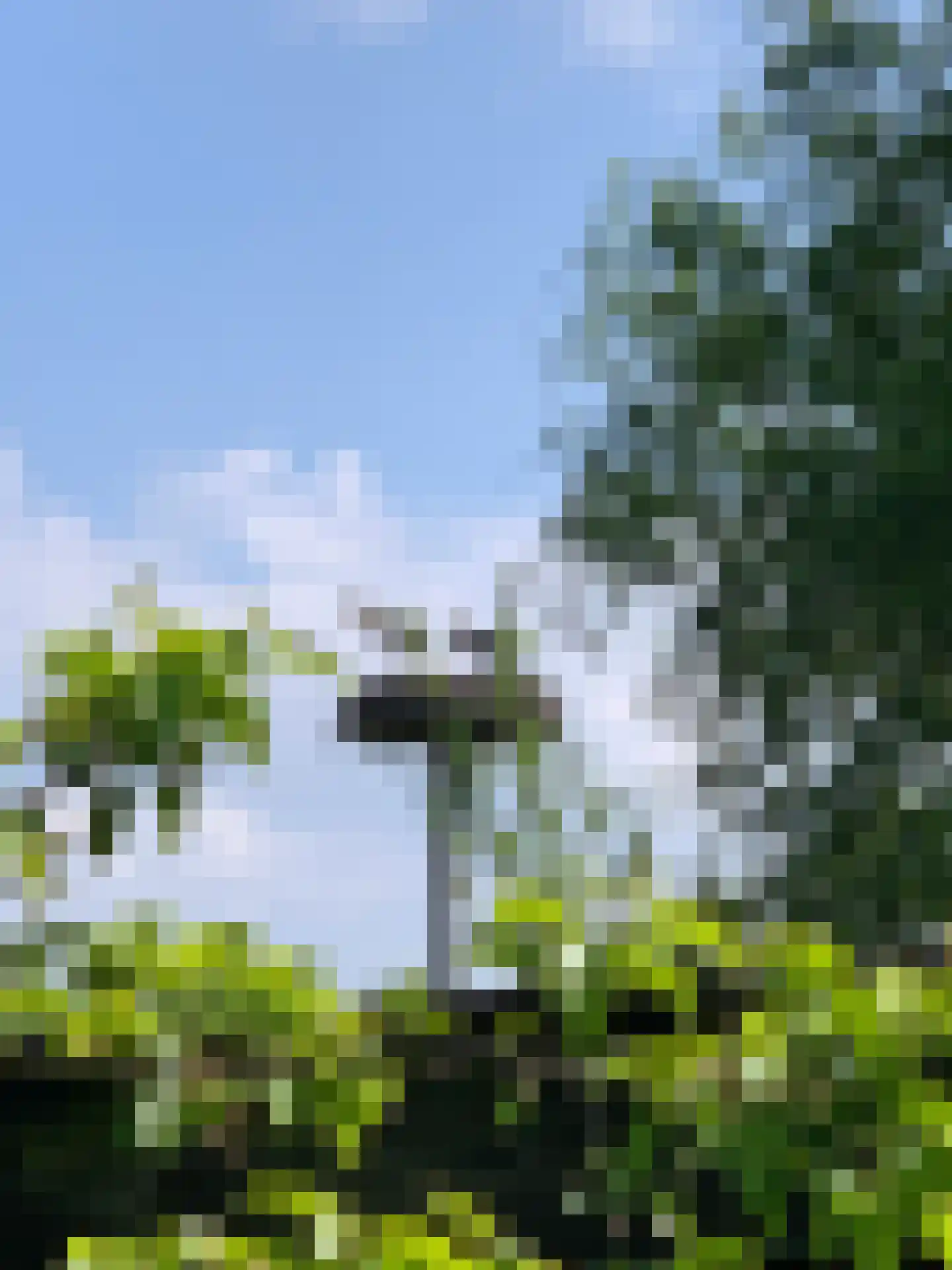 Zeven geversstraat 10 Druten thumbnail 38